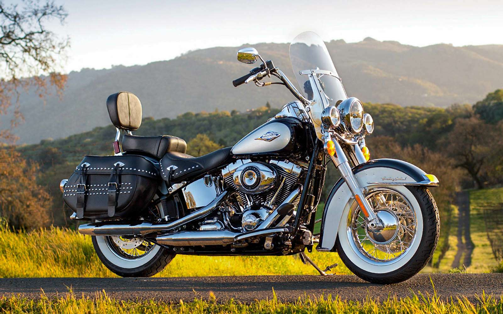 Harley-Davidson FLSTC