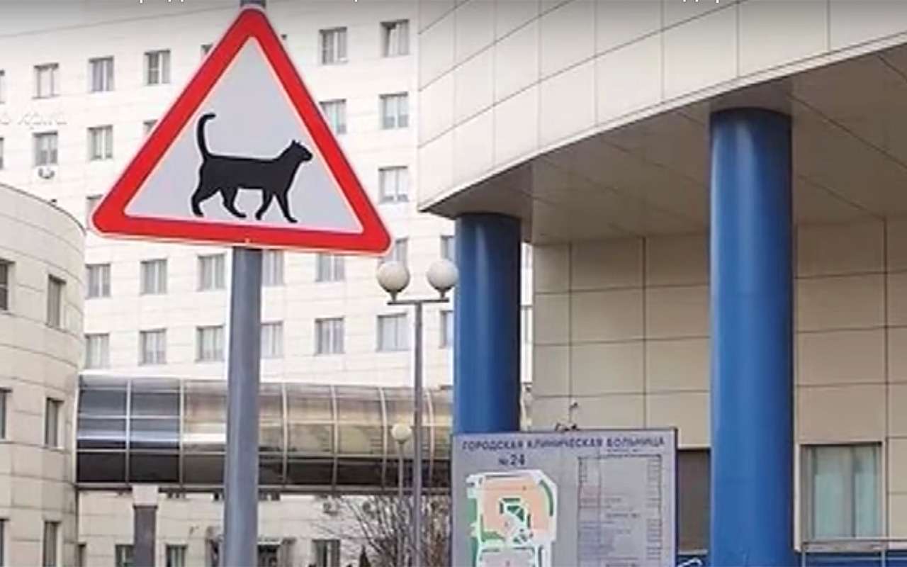 У московской городской больницы установили дорожный котознак
