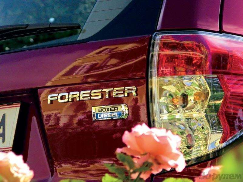 Презентация Subaru Forester: Дизель в оппозиции — фото 89436