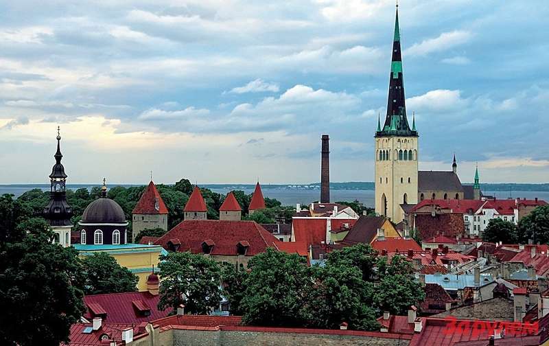 Таллин расположен на высоком холме, на верхушке которого оборудованы две смотровые площадки. Оттуда открывается чудный вид на черепичные крыши Старого города и море.