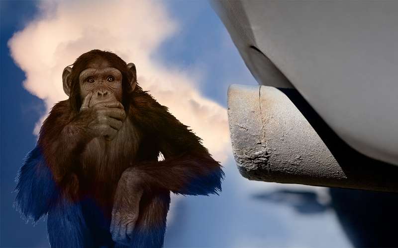 Скандал: VW, BMW и Daimler тестировали дизельные выхлопы на обезьянках