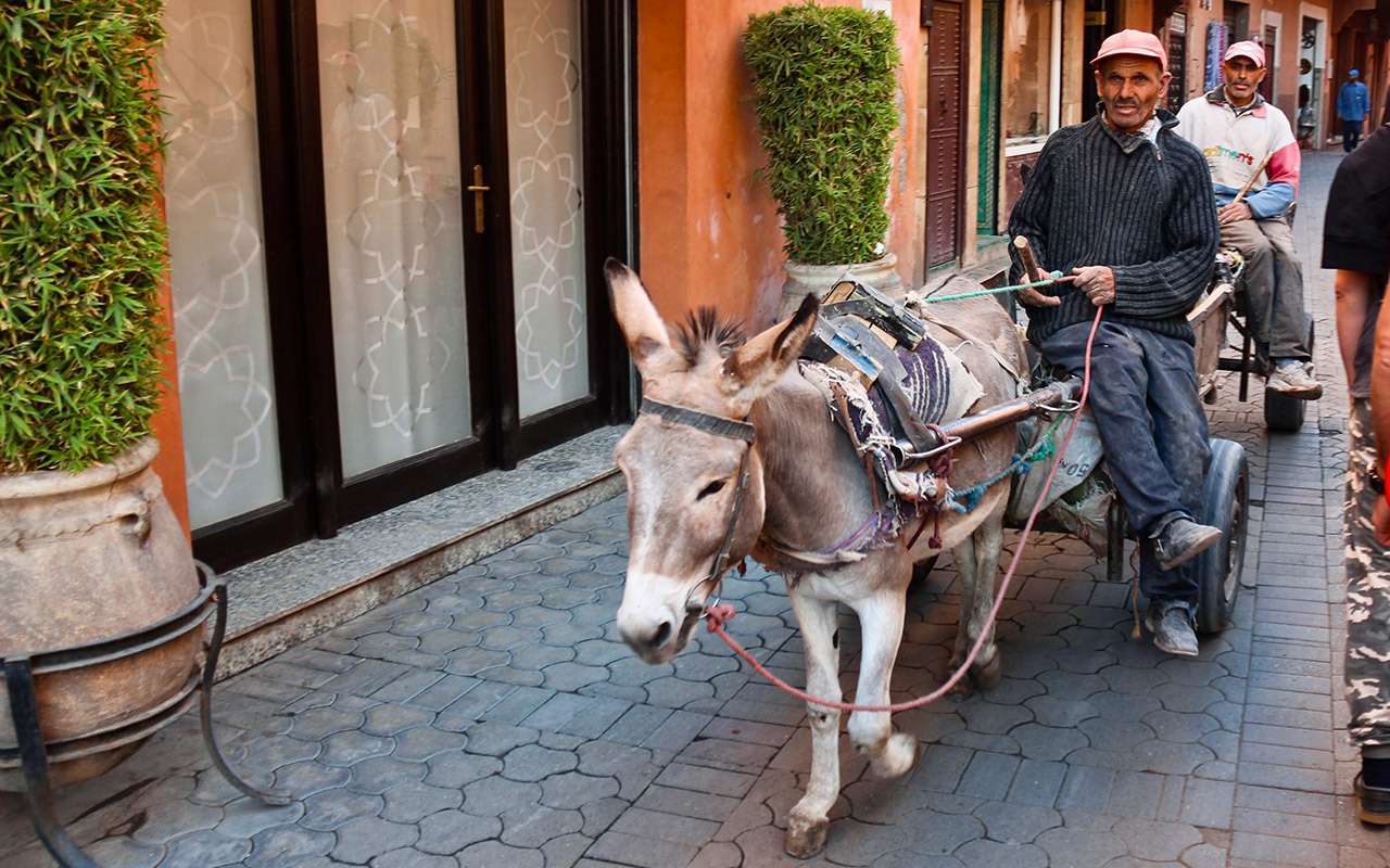 Автопробегом по Марокко: дизельный Дастер покоряет Сахару — фото 834212